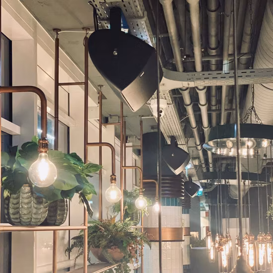 Remote Control Box off-Highway Vehicle Joystick 2-Axis Hand Operated Industrial Joystick Fj11